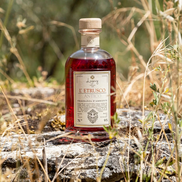 Home Diffuser Logevy Ancient Etruscan Home Fragrance Brand